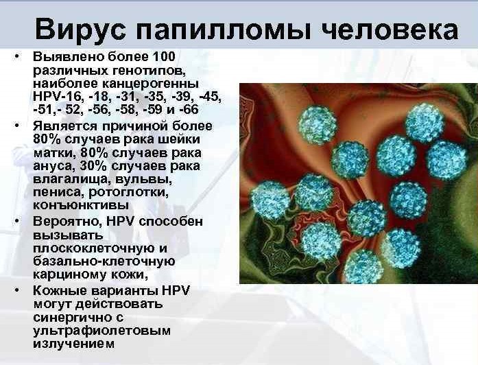 papilloma vírus hpv 31)